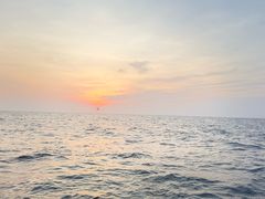 -阿侬盐焗鸡(清澜店)