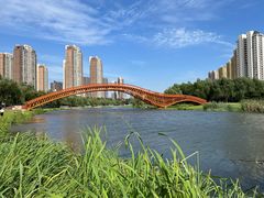 -长白岛森林公园