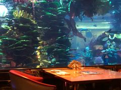 -迪拜帆船酒店海底餐厅