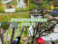 -云溪植物园