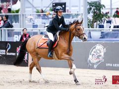 -北京群众马术培训基地