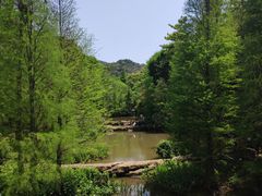 -云溪植物园