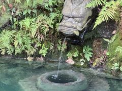-十八棵（老龙井）御茶园(老龙井店)