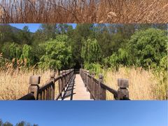 -丽江泸沽湖景区