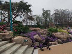 -苏州乐园森林水世界