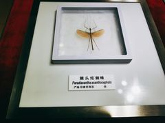 -上海昆虫博物馆