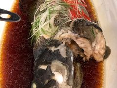 -碧丽宫大酒店(召稼楼店)