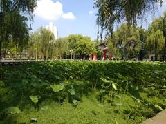 -四川大学(望江校区)