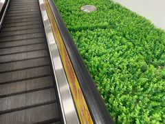 -物美超市(通州华业玫瑰店)