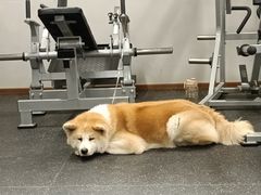 -YCHL Studios健身工作室(市二宫店)