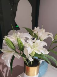 -S庆熙美学皮肤管理