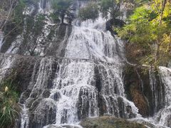 -美人谷景区