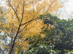-长广溪湿地公园
