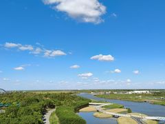 -春花秋色城市公园