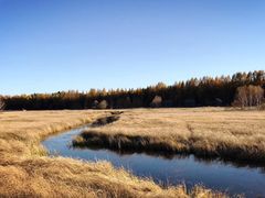 -塞罕坝国家级自然保护区