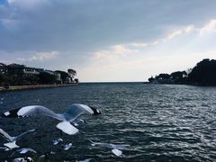 -南诏风情岛