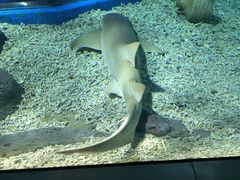 -福州罗源湾海洋世界旅游区