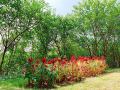 -盘龙城国家考古遗址公园