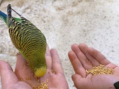 -上海大自然野生昆虫馆