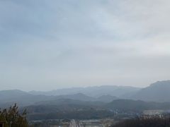 -中原大佛景区