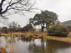 -无锡梅园公园
