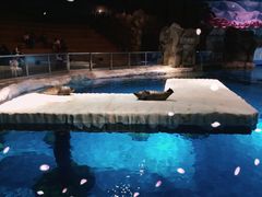 -海洋公园海洋列车－海滨站