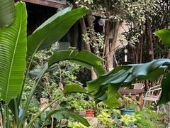 -谷咖啡·鲜花绿植花园餐厅