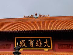 -深圳仙湖植物园