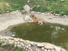 -西安秦岭野生动物园