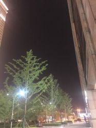 -意然瑜伽·普拉提