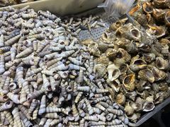 海螺-济南海鲜大市场