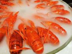 -红盔甲·小龙虾(天钥桥店)