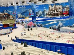 -湘江欢乐城欢乐雪域