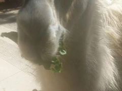 -昆明动物园
