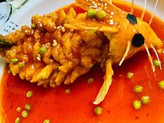 松鼠桂鱼-丁老爷子苏香圆