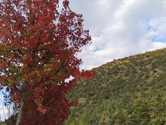 -黑龙潭公园