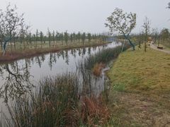 -黄海国家森林公园