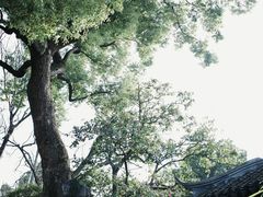 -夏津德百度假村温泉