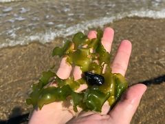 -那香海钻石沙滩浴场