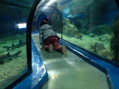 -福州罗源湾海洋世界旅游区