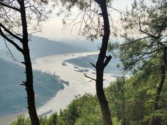 -铁山坪森林公园