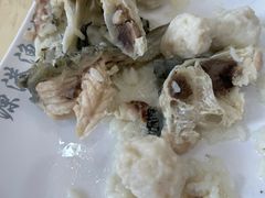 -源港渔村-中山脆肉鲩(博罗店)