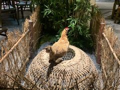 -洞庭土菜馆(天河北总店)