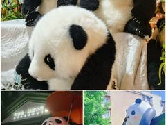 -小龙坎火锅(全球旗舰店)