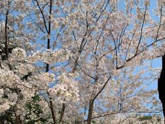 -浙江宾馆·花园餐厅·自助餐厅·茶吧