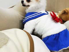 -怪兽屋·羊驼·猫咖·狗咖(俊华广场店)