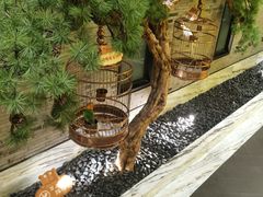 -小厨娘淮扬菜(六合欢乐港店)