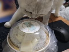 -迦南·甜品蛋糕(传媒店)