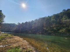 -九龙江国家森林公园