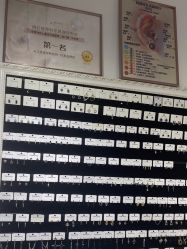 -AI艾耳·专业手工耳洞·穿孔美学馆